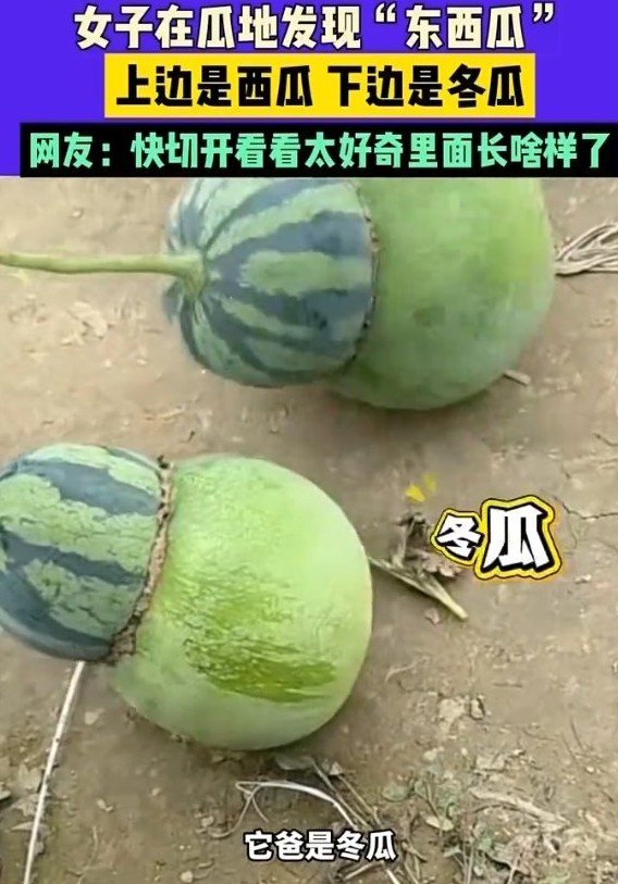 截图未命名.jpg